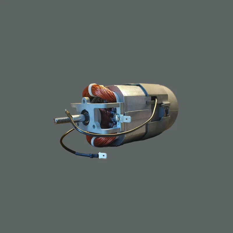 Motor de liquidificador poderoso