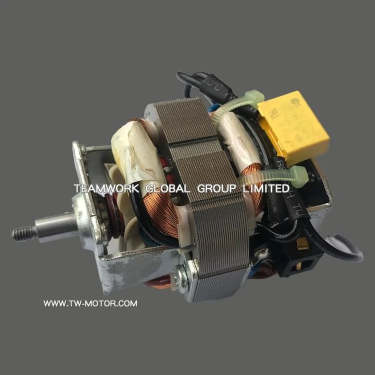 Cooking Machine Ac Motor