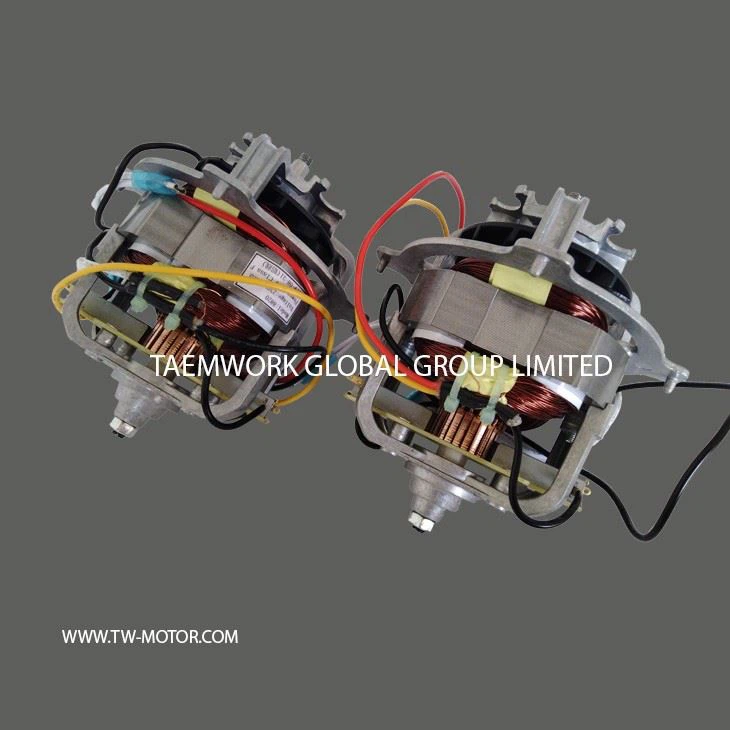 Power Food Processing Motor