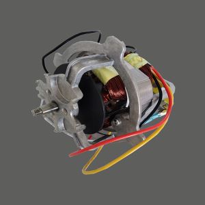Motor de processamento de alimentos de energia