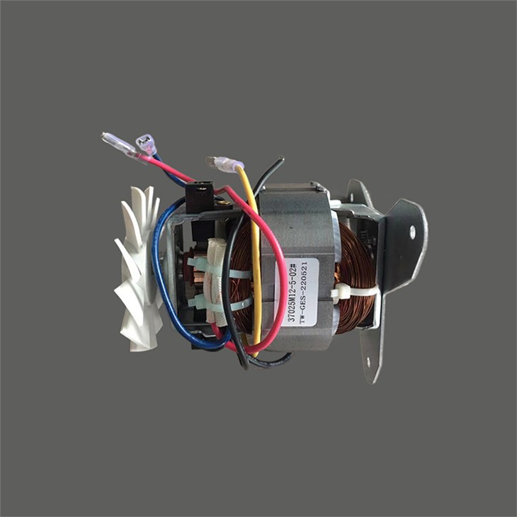 Motor de Secador de Cabelo para Hotel