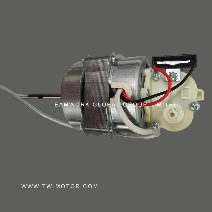 Noiseless Floor Fan Motor