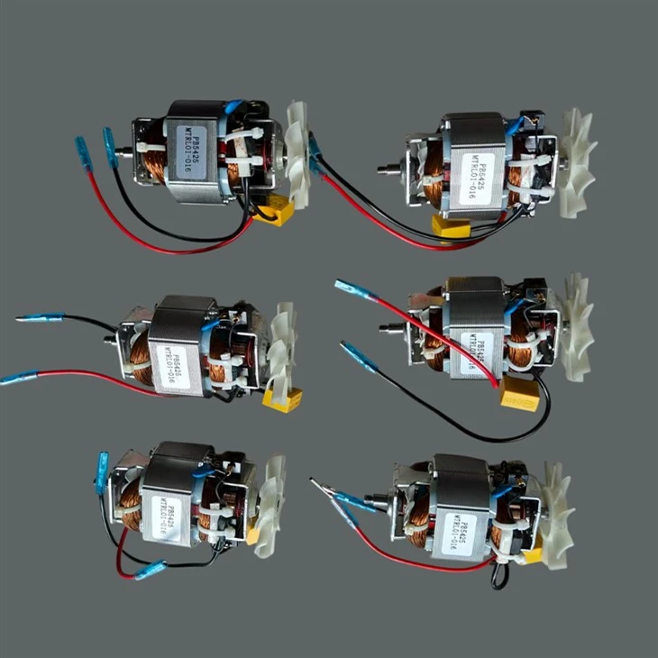 Powerful Commercial-Grade Blender Motor best